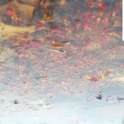 ×iwannaknowyerbiggestfantasty× photo