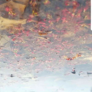 รiwannaknowyerbiggestfantastyร photo