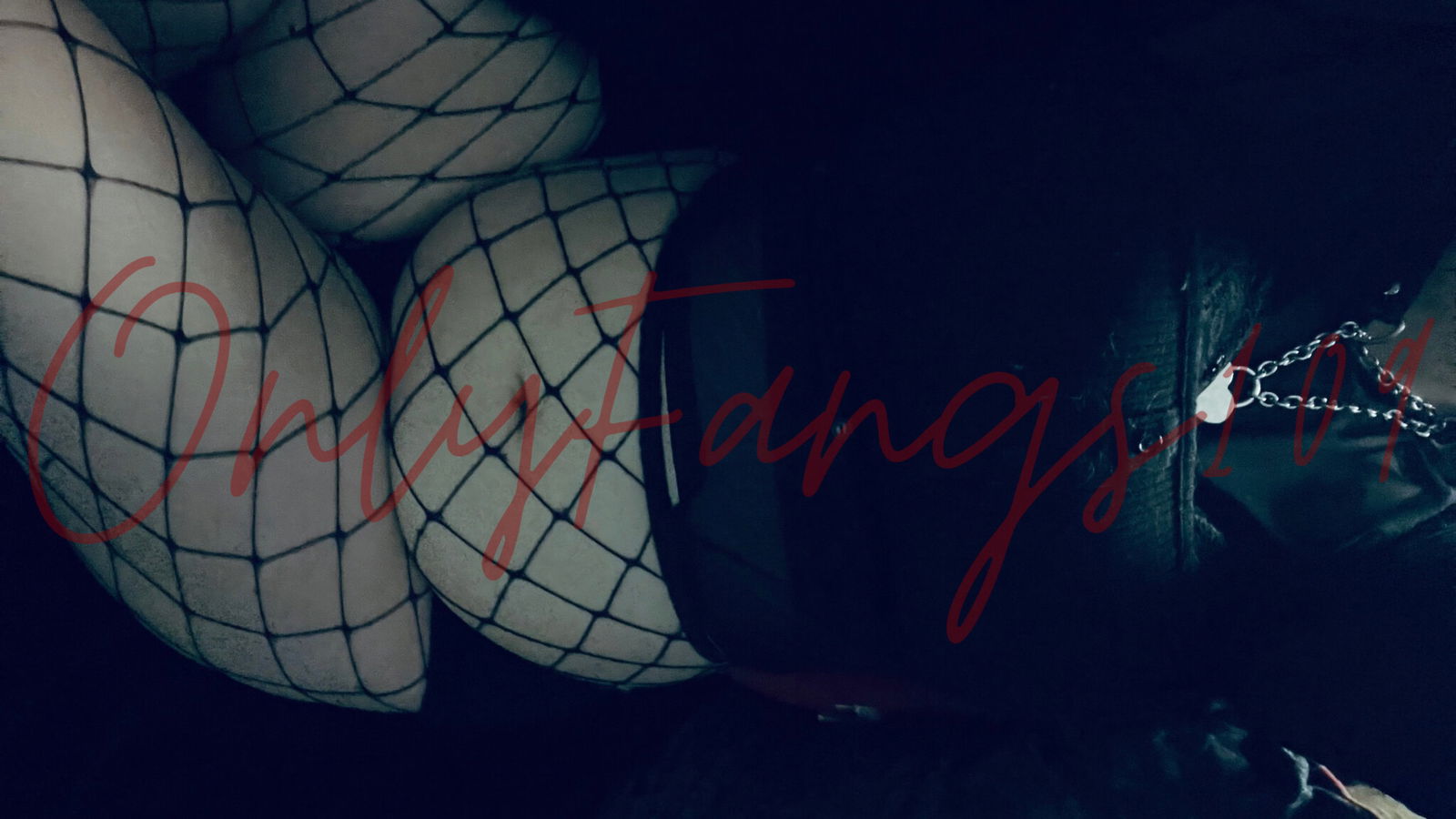 OnlyFangs109Free photo