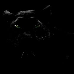 Dajai Anderson photo