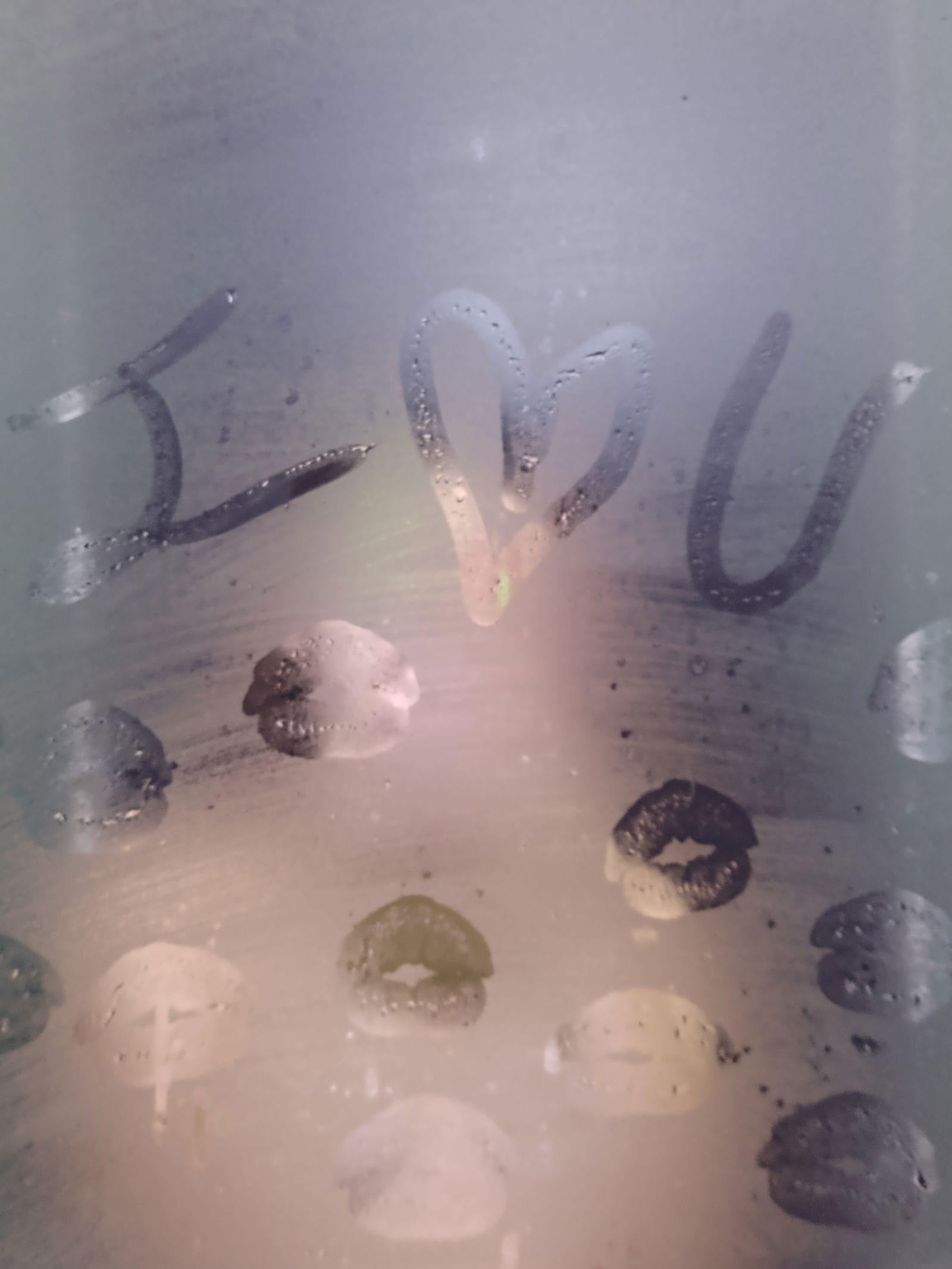 ☾ 𝕸𝖎𝖈 𝕸𝖓𝖉𝖟𝖆 ☽ photo