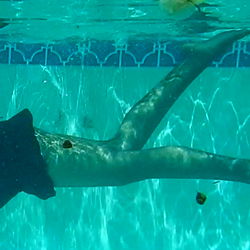 Stella Aeternum photo