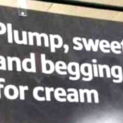 Molly Lynn: Nevada's Strawberry Picking