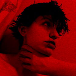 Red August in a Rooftop Setting