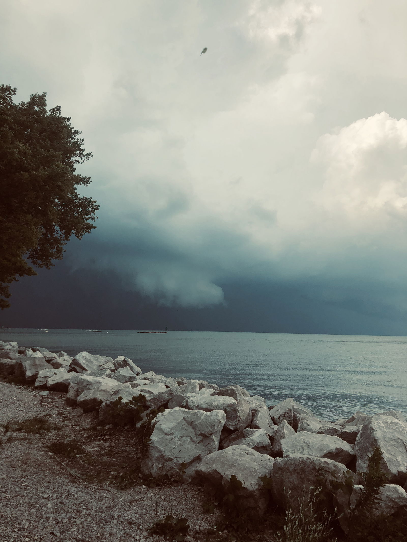 BabyGirlSweetz photo