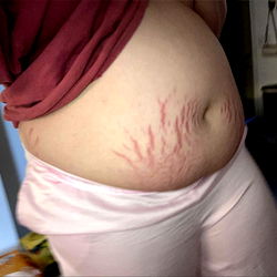 Vivid Imagery: OnlyFans Silah, An Instagram Influencer