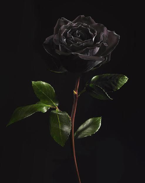 Anonymous couple photo