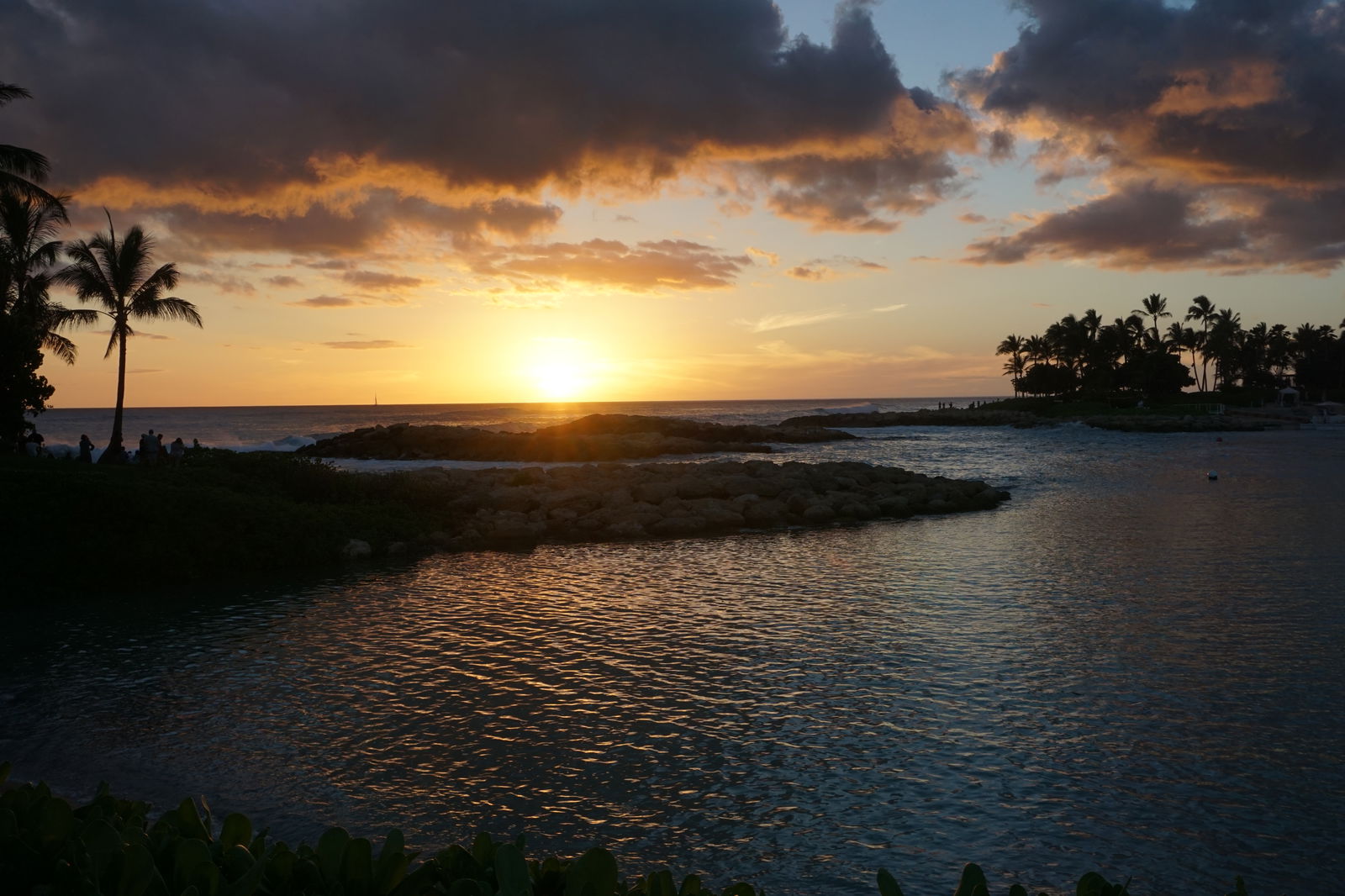 Angel Kaleleona photo