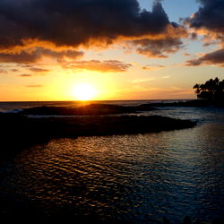 Angel Kaleleona photo