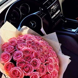 Alvina๐๐น๐๐ photo