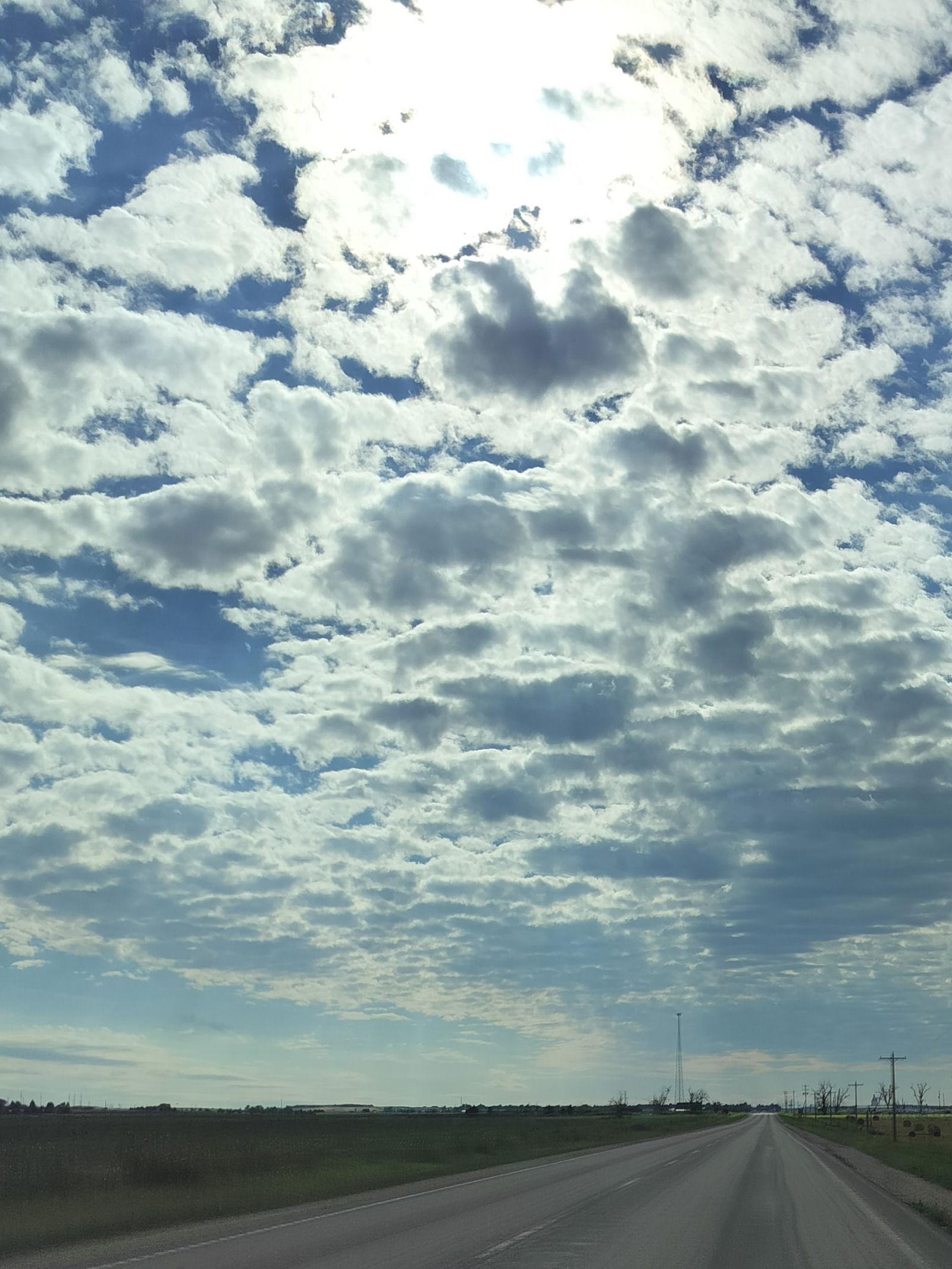 🦊 Zombie Foxxx 🦊 photo