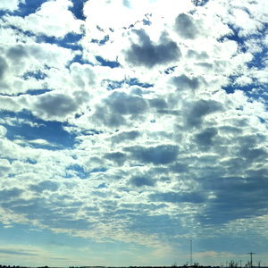 ๐ฆ Zombie Foxxx ๐ฆ photo