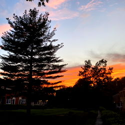 Vibrant Sunset over a Residential Area