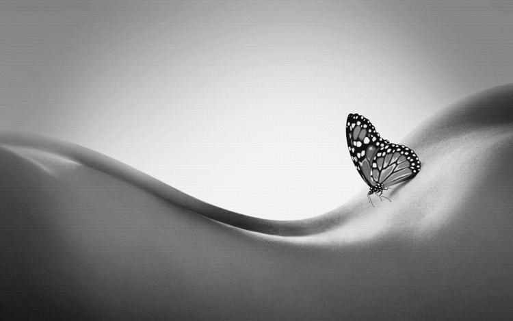 Kimberley Alexandra photo