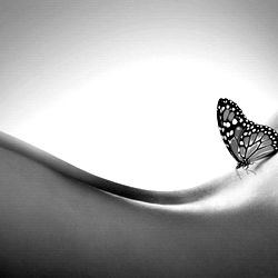 Kimberley Alexandra photo