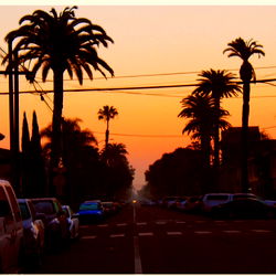 Serene Sunset Scene in an Urban Area