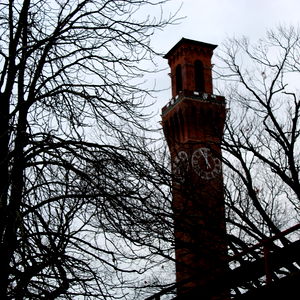 AR1231๐คซ photo