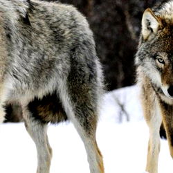 Facial queen 💦💦💦 photo