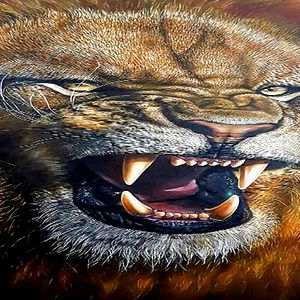 Anubis West-Parker photo