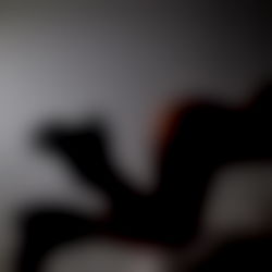 D A K O T A F O X X photo