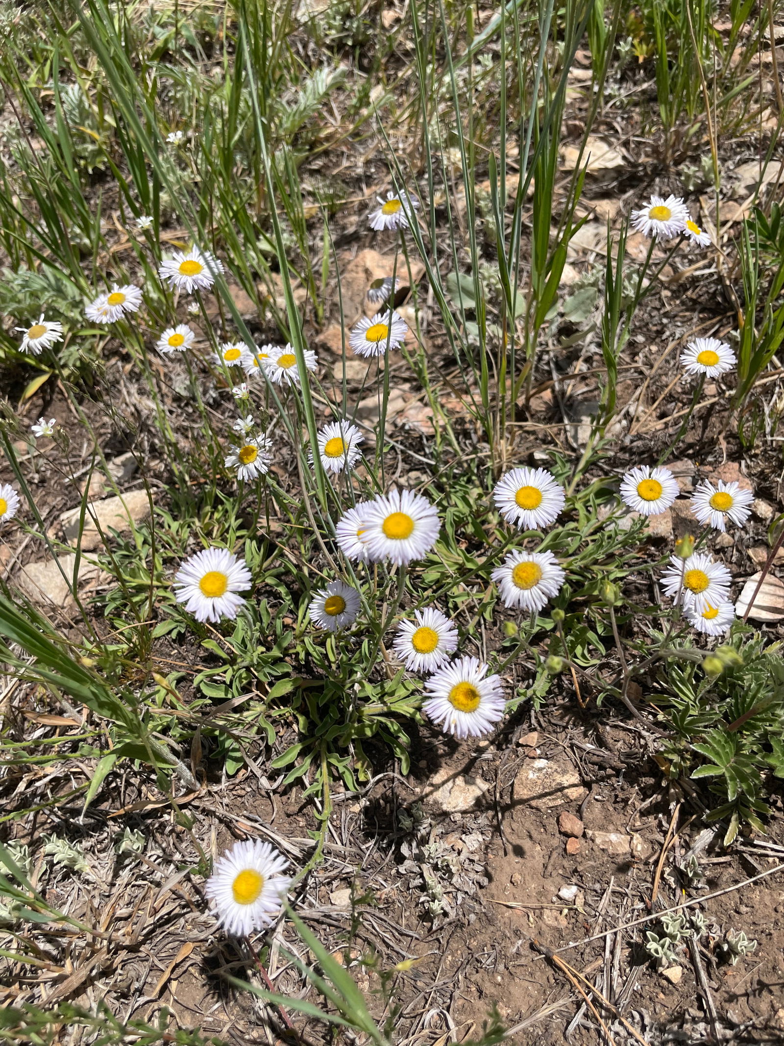 akuma (*¯ ³¯*)♡ photo