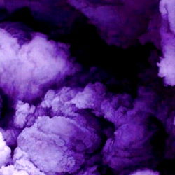 Caitlin Francis photo