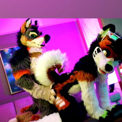 Small things, big packages photo