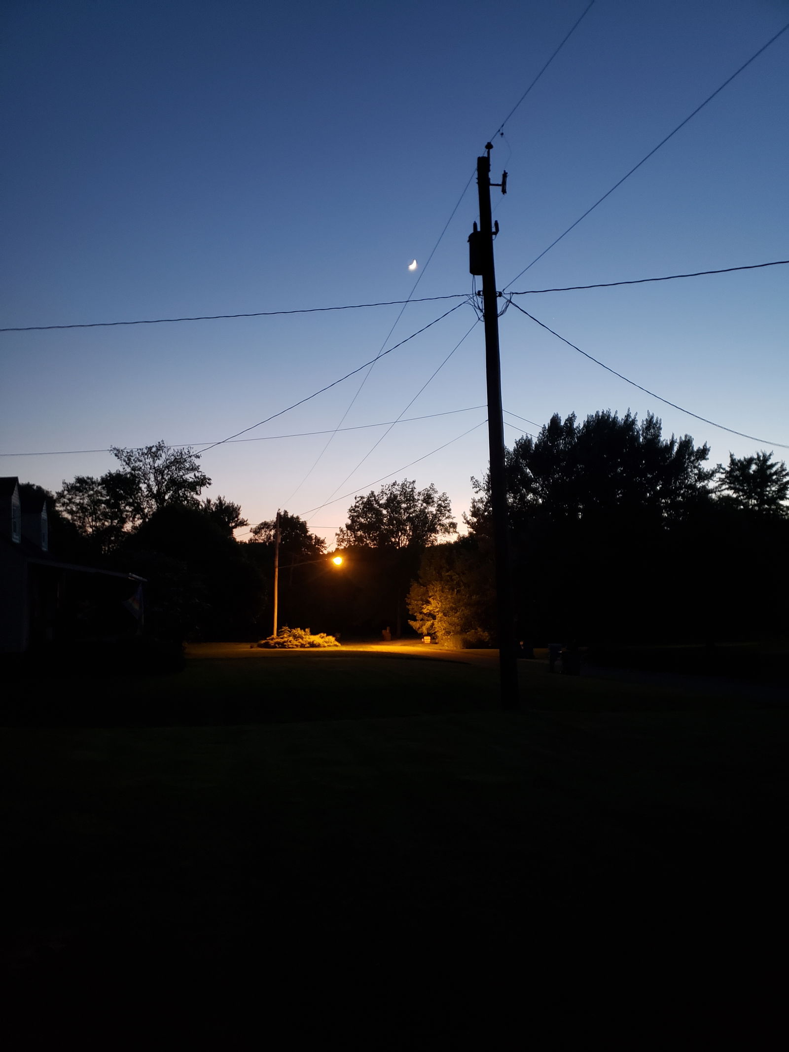 August Andrews photo