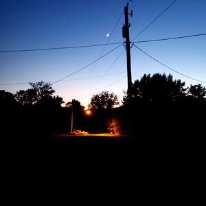 August Andrews photo