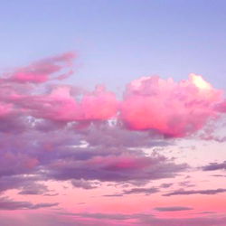 Sage’s FREE🤎💖 photo