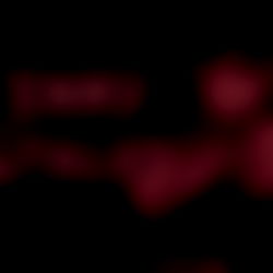 Penny Stalks ๐๐ชทโจ photo