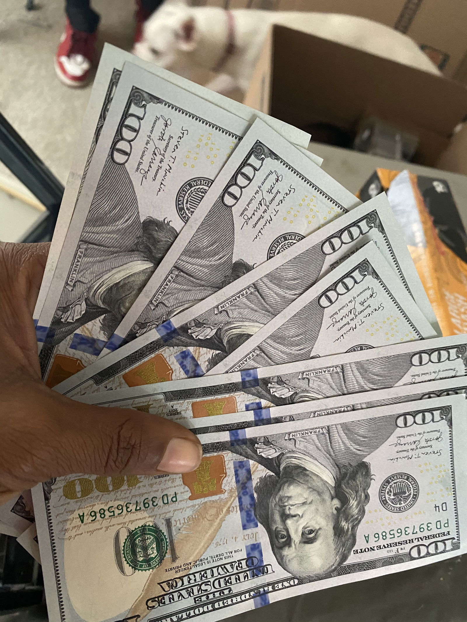 Aurianna Stacks photo