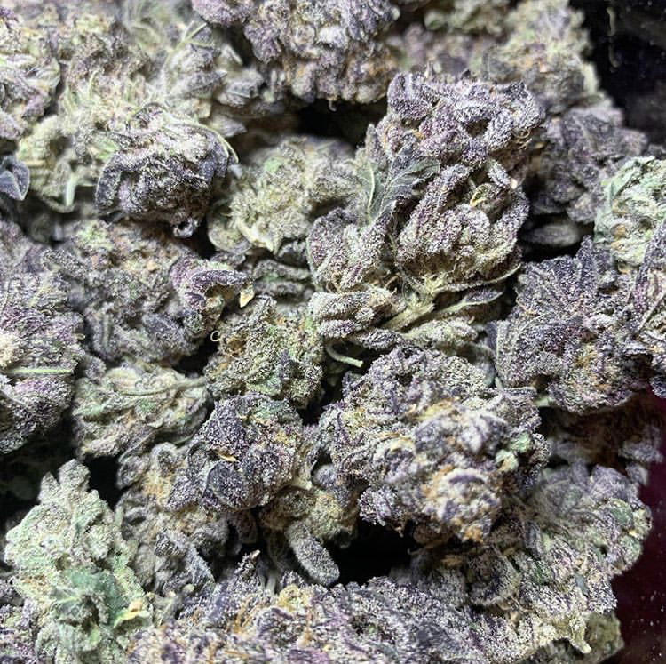 Skinny_n_packin photo