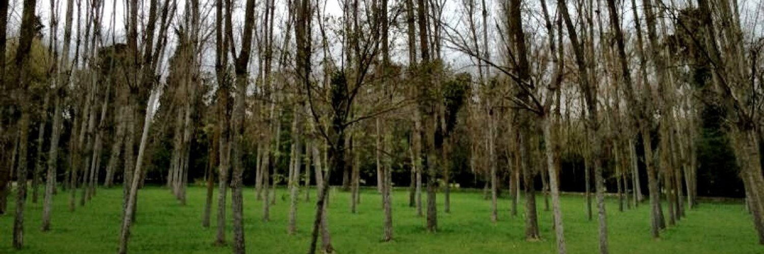 Gonzalo López André photo