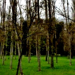 Gonzalo Lรณpez Andrรฉ photo