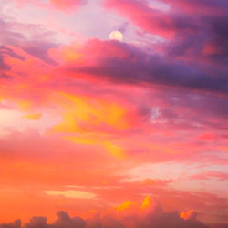 A Real Life Fairy ๐ง๐ฝโโ๏ธ photo