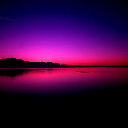 Mistress Lexi aka Alexibun photo