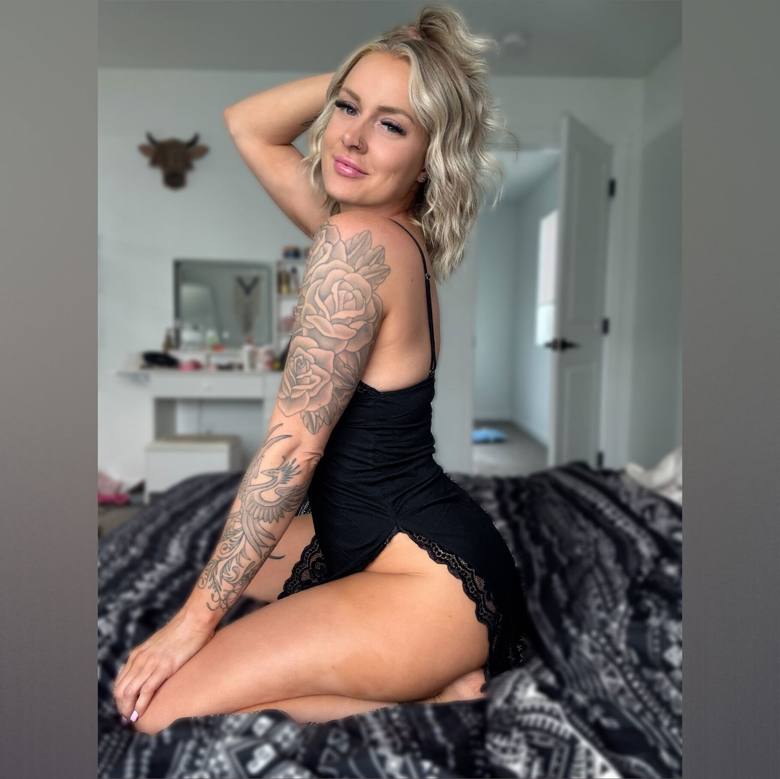 Shelby ⚡️ free photo