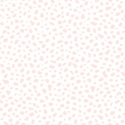 Shelby โก๏ธ free photo