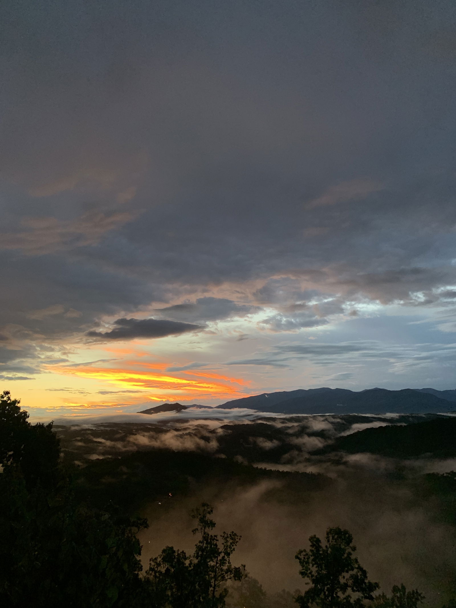 Daniel D Engi 3rd photo