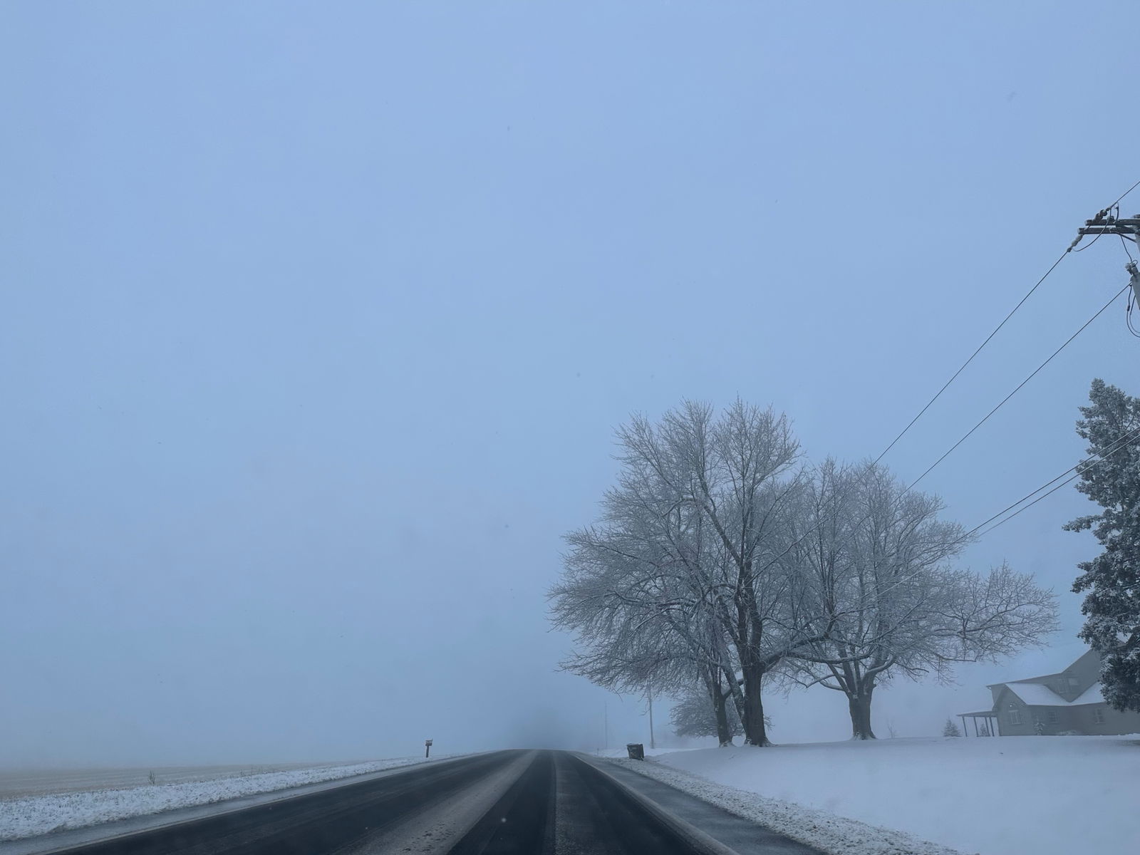 Ashlee Riddick photo