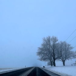 Ashlee Riddick photo