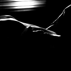 Beauty and the beast photo