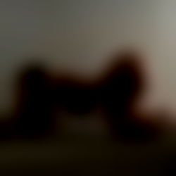 Arabella Lajares ๐ photo