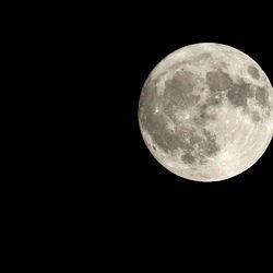 Luna photo