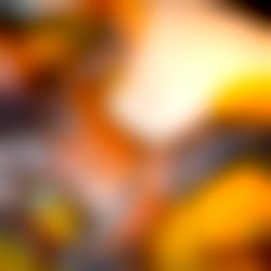 King Rico Blaze photo