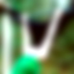 ๐ id0lls Lei / Luna D.Light ๐ FREE ๐ธ photo