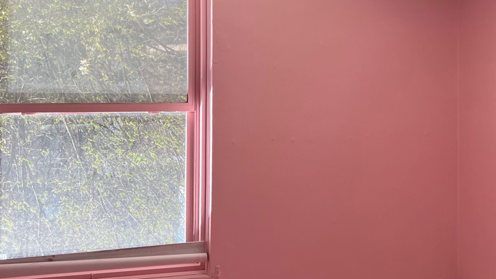 asiankreamsicle🍊 photo