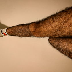 Papa Fox ๐ฆ photo