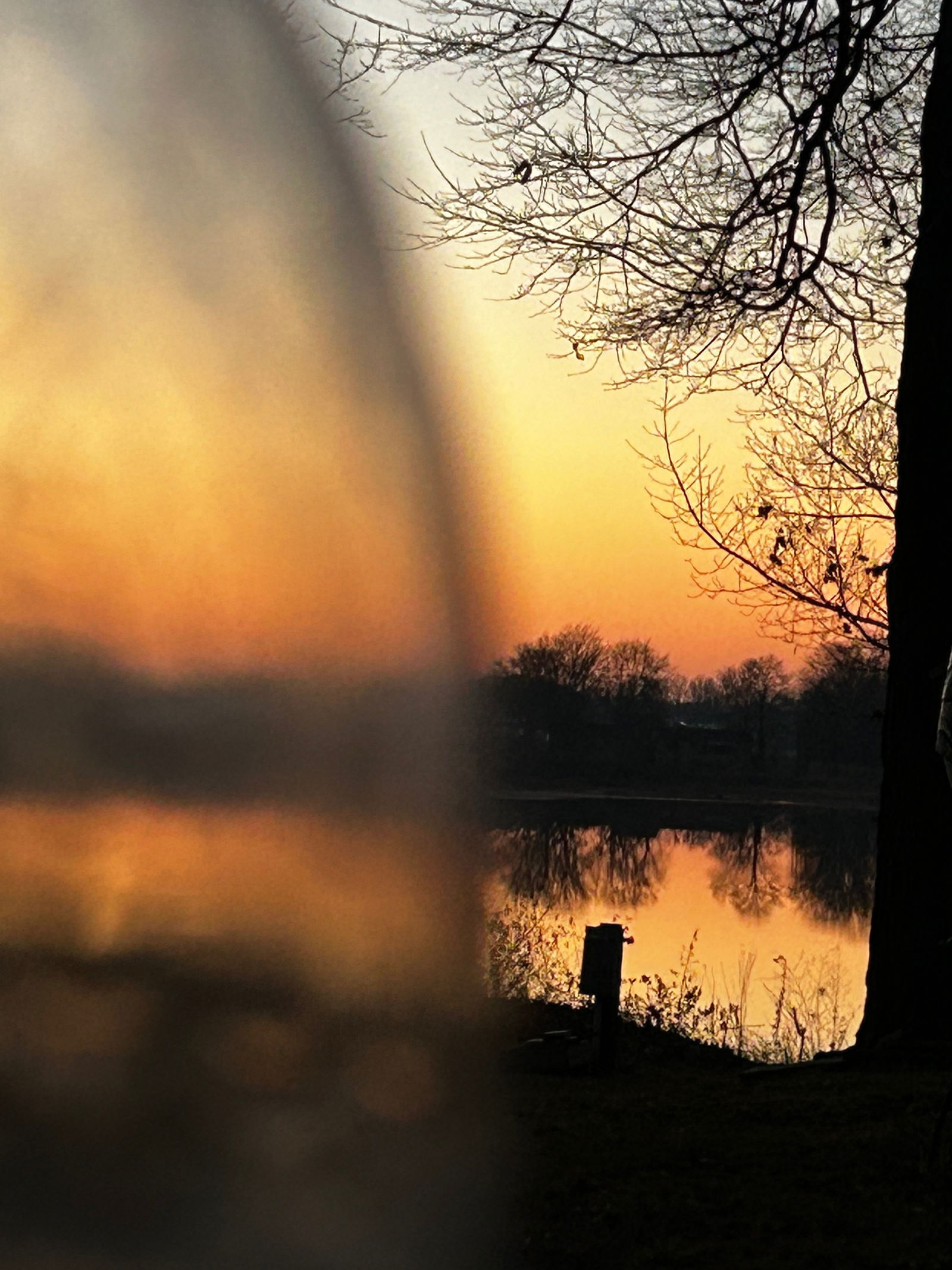 Trippy Jay🍃🤤 photo